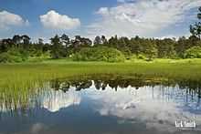 Priddy Pools ponds landscape image