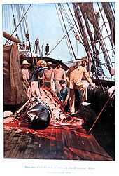 A group of men on the deck of a ship surround the remains of a whale, with much blood and blubber in evidence. The figure on the right, the prince, is wearing a tailored jacket and smart hat. The others are in seamen's jerseys.