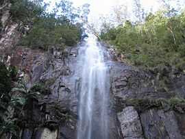 Protestor Falls, Terania Creek section, Nightcap National Park