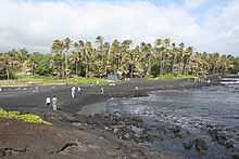 Photo of coastline with 10 people standing or walking on the beach and palm trees in background