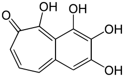 Chemical structure of purpurogallin