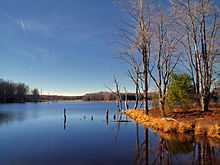 Shore of a small body of water with brown grass, small shrubs, bare trees, and evergreens surrounding it.