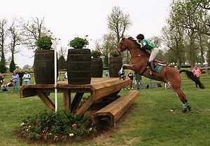 A horse just taking off from the ground to jump a wooden jump. The horse's back legs are still on the ground but its two front legs are stretched forward and upward to reach over the jump. The rider is flat against the horse's neck.