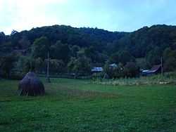 Rural landscape from Stănija