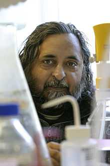 Suresh I. S. Rattan, Biogerontologist at the University of Aarhus's Department of Molecular Biology