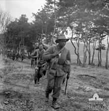 Australian soldiers move alongside a tree line in single file