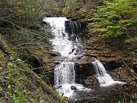 A cascade fall is at the top and below the cascade is a fall split by a rock into two, with a straight drop into a plunge pool. It is autumn, with leaves in various stages of color on the trees; some are green and others are orange or yellow. Fallen leaves cover many of the rocks along the stream.