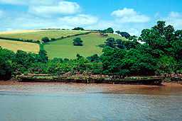 A muddy river bank with the rusted remains of a paddle steamer. The remains are full of vegetation, and have many holes.