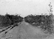 Historical photograph of narrow road surrounded by bush vegetation