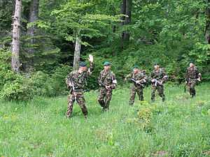 Romanian Mountain Troops 3.jpg