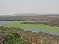 Roodeplaat Dam Water Hyacinth from watertower DSCN4904.JPG