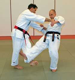 Judoka demonstrating Kosoto-gari technique