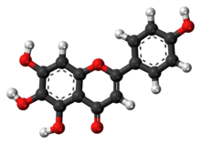 Ball-and-stick model of scutellarein