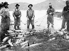 Six men in bib overalls, hats, boots, and other work clothes pull on a large net full of fish. They are standing in the shallows of a big river. Rounded hills rise on the opposite bank of the river.