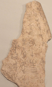 Photograph of bone fragment with carved characters