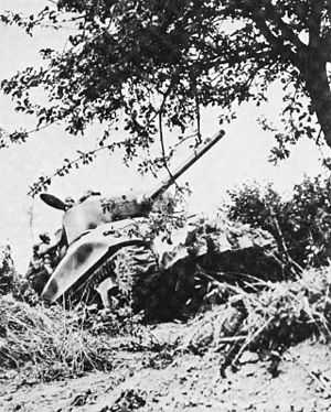 A tank moves through a partially destroyed hedgerow. A tree dominates the upper-right of the photograph