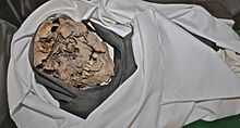 Mummy found near Shimbillo-Chazuta, Peru