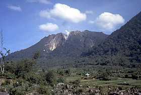A photograph depicting a blue sky with white clouds at the top, a grey mountain range in the middle, and green foliage at the bottom.