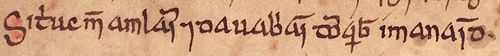 Image of an excerpt from the Annals of Ulster which records the deaths of Sitric and the two grandsons of Brian Bóruma, in 1073.