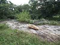 Snap from Bannerghatta National Park Bangalore 8522.JPG