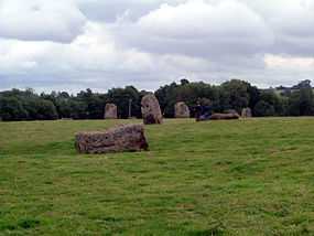 standing grey stones in a grassy field with trees in the distance