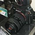 Sony Alpha-700 img 1254.jpg