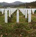 Srebrenica massacre memorial gravestones 2009 3.jpg