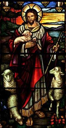 A stained glass depiction of Jesus as a Caucasian man with long brown hair, a beard and the characteristic Christian cross inscribed in the halo behind his head. The figure dressed in a white inner robe cover by a shorter, looser scarlet robe. Depicted as a Shepherd, he is holding a crux in his left hand and carrying a lamb in his right. Sheep are positioned to the left and right of the figure.