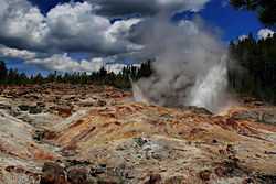 Water and steam erupting from rocky, barren ground. Fir trees in the background.