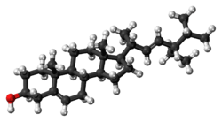 Ball-and-stick model of stigmasterol