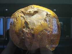 Large rock in an indoor display case with the heads of viewers reflected in the glass.