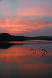 Pink clouds in a dark purple-blue sky are reflected in a smooth lake. At the horizon is a line of dark trees, and two branches stick out of the water in the middle of the image.