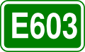 E603 shield