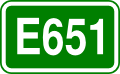 E651 shield