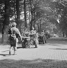 Column of marching men, jeeps towing guns along a tree lined street