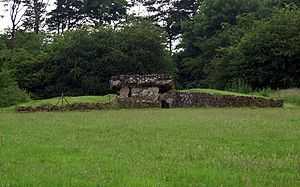 a grassy field in which two low stone retaining walls flank a stone structure with a thick stone slab roof