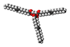 Space-filling model of the triolein molecule