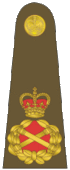 Shoulder insignia consisting of crossed golden batons surrounded by golden oak leaf embellishment, topped with a crown