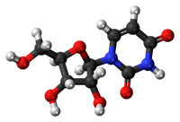 Ball-and-stick model of the uridine molecule