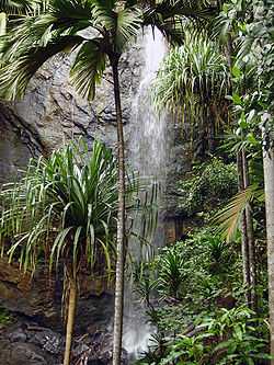 A picture of a waterfall obstructed by a couple of palm trees.