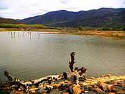 Pond, with mountains in background