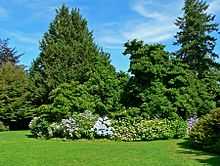 VanDusen Botanical Garden 4.jpg