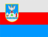 Flag of Velykyy Bereznyi Raion