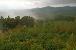View from Soapstone Mountain summit lookout tower in Shenipsit State Forest