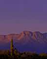 View in Cabeza Prieta National Wildlife Refuge, Arizona.jpg