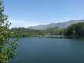 View of Mattupetty Dam reservoir.jpg