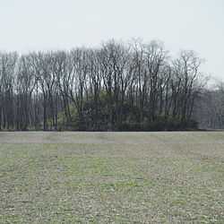 W.C. Clemmons Mound