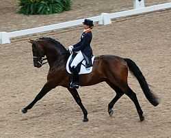 A dark horse, moving with extreme extension in a dirt ring. The horse's rider is wearing a dark top hat, coat and boots, and white pants. In the background a fence is partially visible.