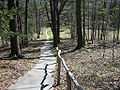 Walkway @ Zen Mountain Monastery.jpg