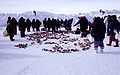 A group of people in winter clothing, standing around piles of meat lying on the snow.
